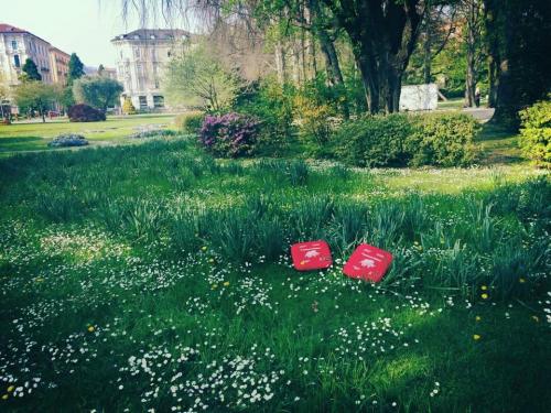 Primavera al parco ciani